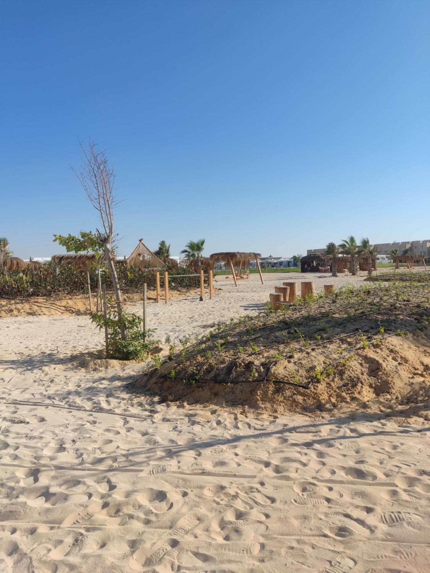 Hotel D-Bay North Coast à Zawiyat 'abd al Mun'im Extérieur photo