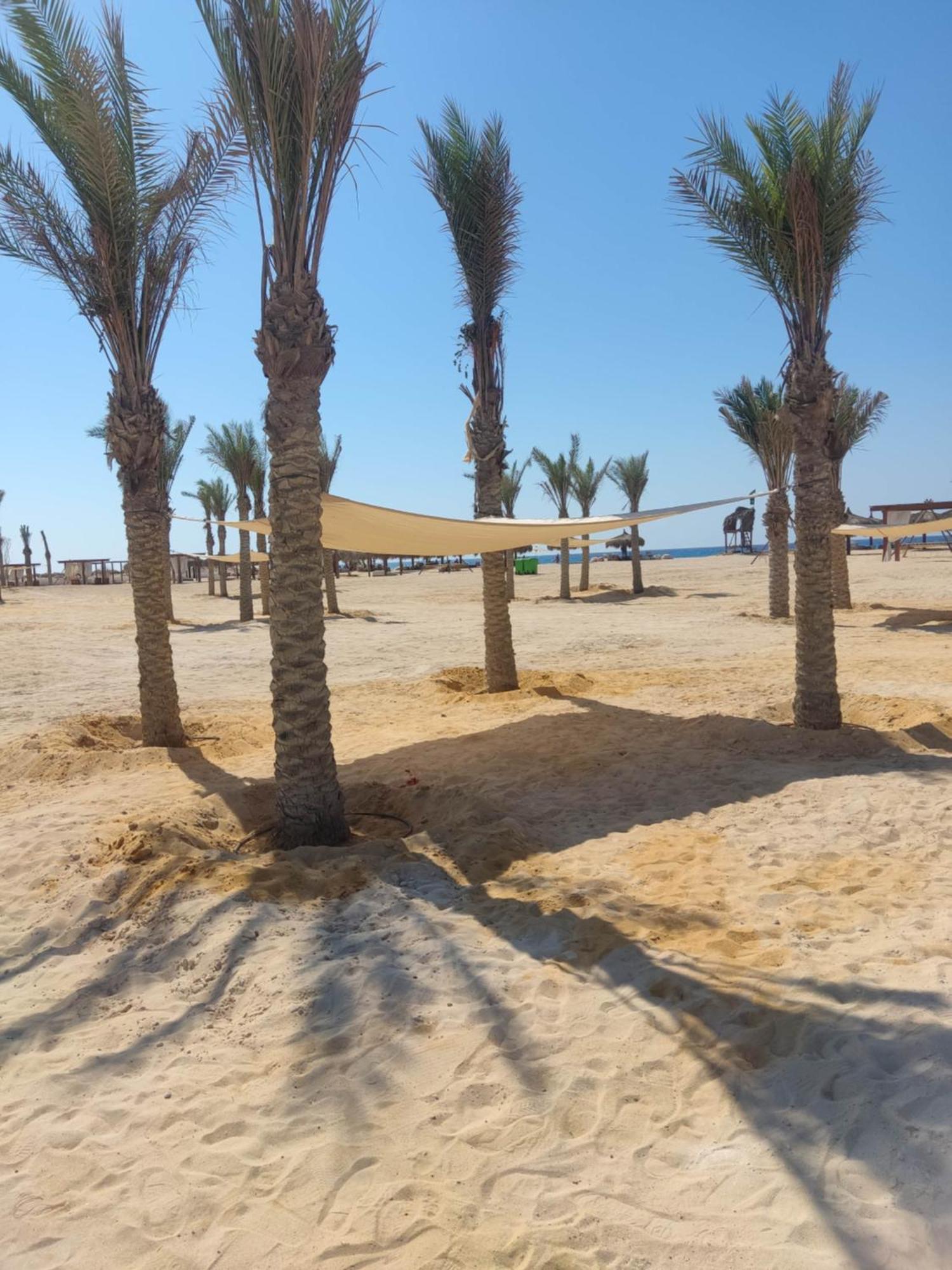 Hotel D-Bay North Coast à Zawiyat 'abd al Mun'im Extérieur photo
